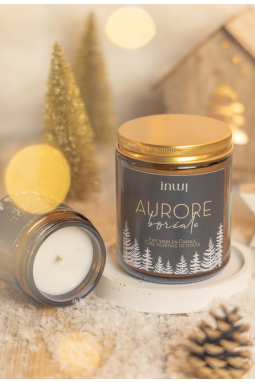 The ephemeral Cherry Blossoms