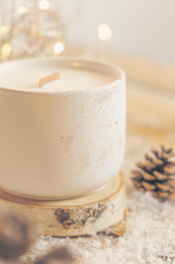 The Delicate of Christmas