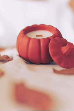 copy of The Delicate:...