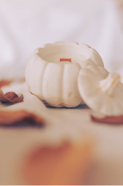 Bougie artisanale automne épices d'automne