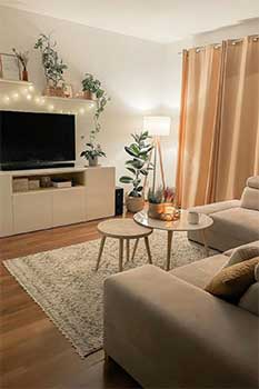interior decoration living room
